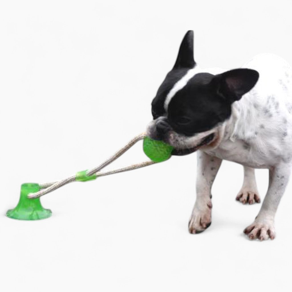 French Bulldog Suction Frenchie Tugtoy™ (ws38) Cute Pet Play Item