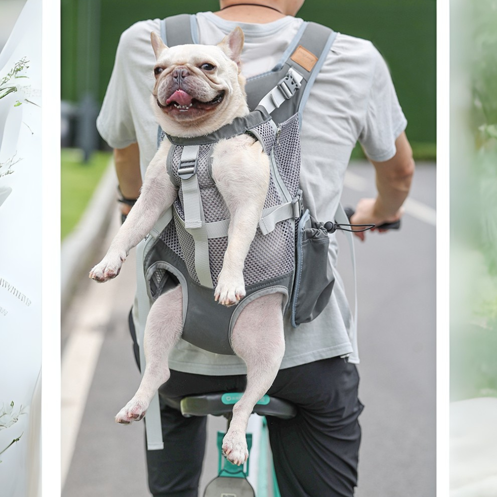 Fashion-Forward Pawporter French Bulldog Carrier Backpack – Travel An...