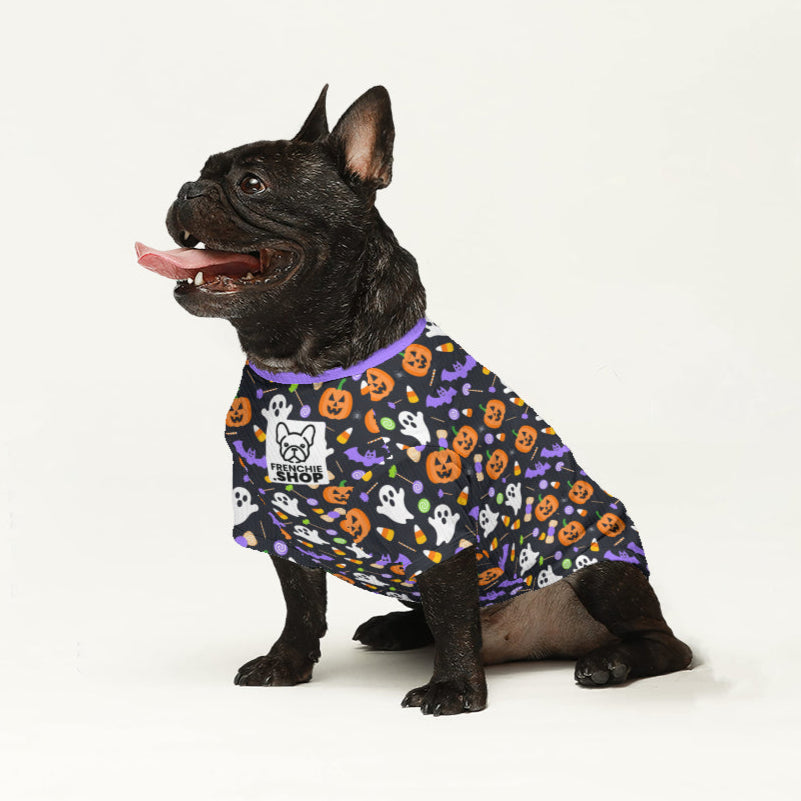 Zuma - Casual Wool Sweater For Frenchies Pet Owner Apparel