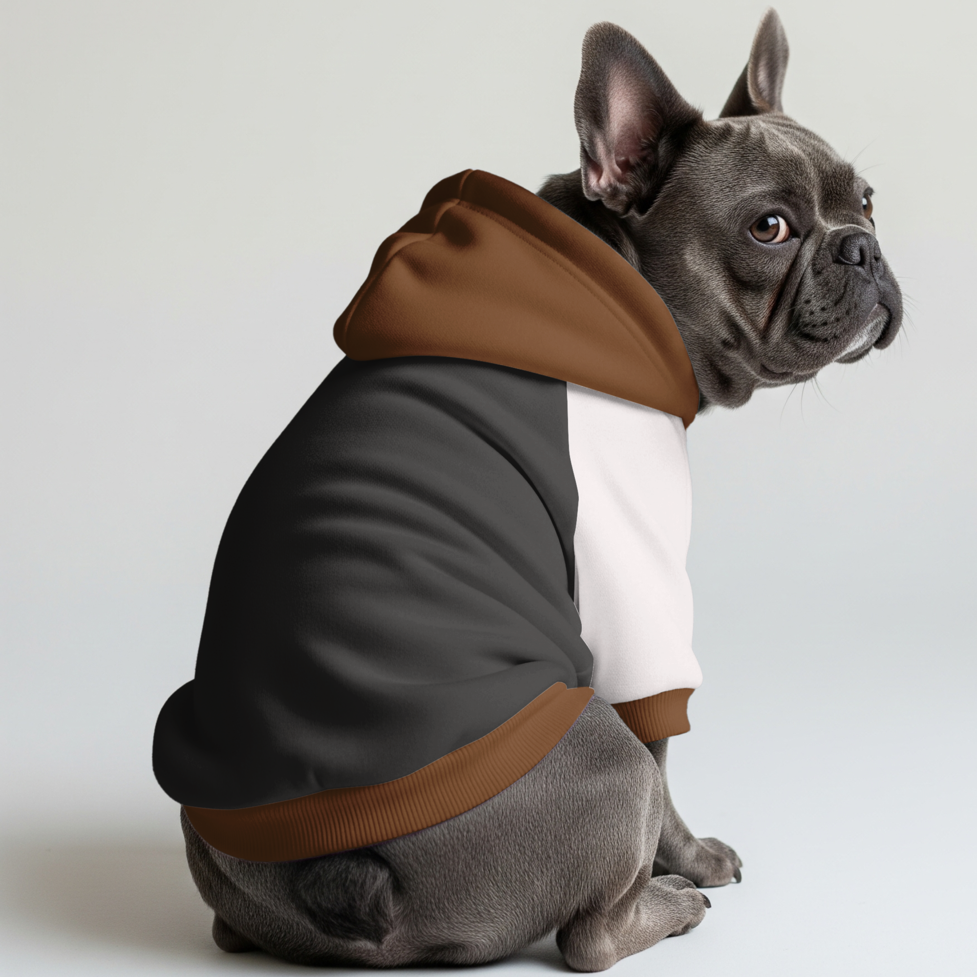 Moose - Frenchie hoodie
