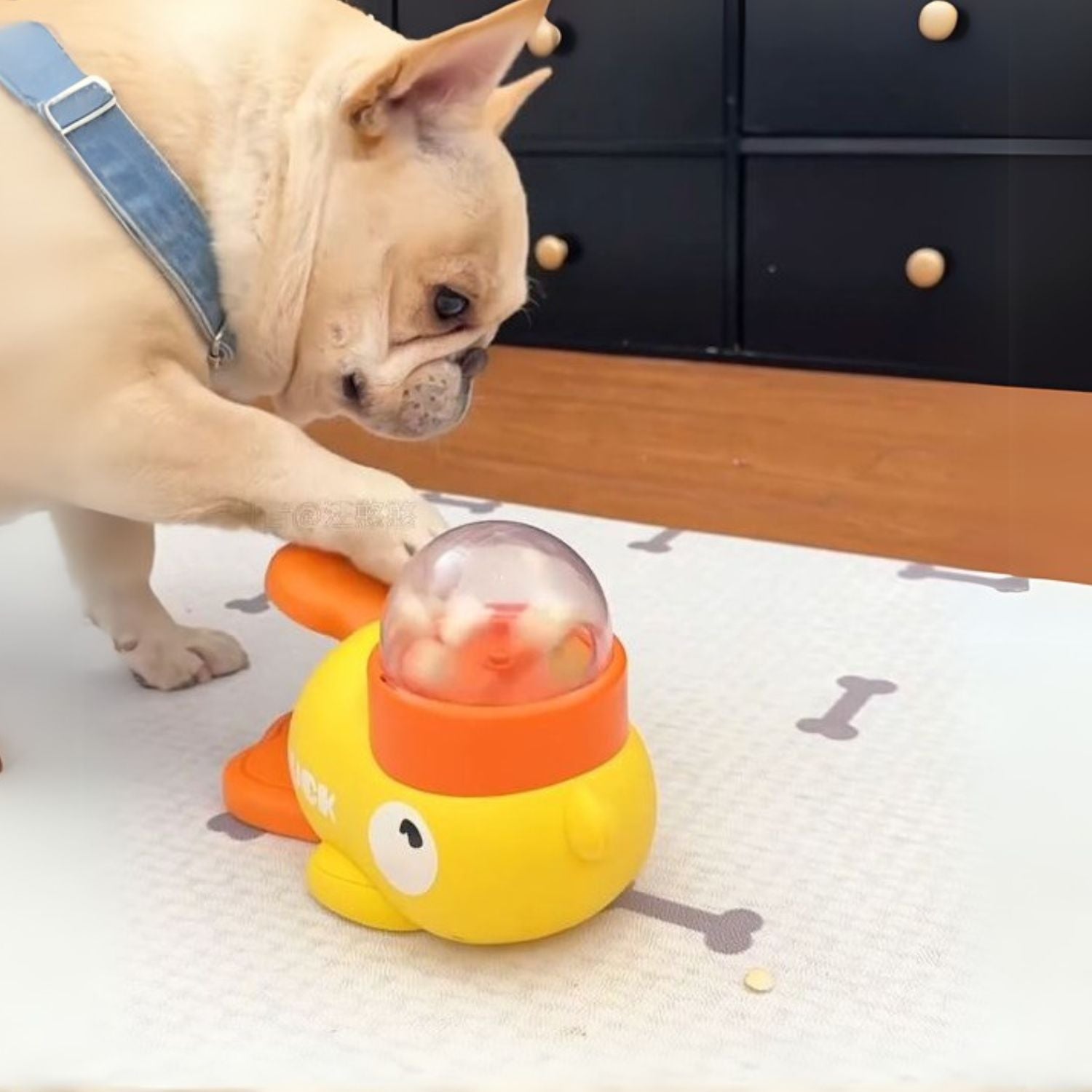 French Bulldog专属 Frenchie Food Puzzle Toy – Slow Feeder Dispenser For...