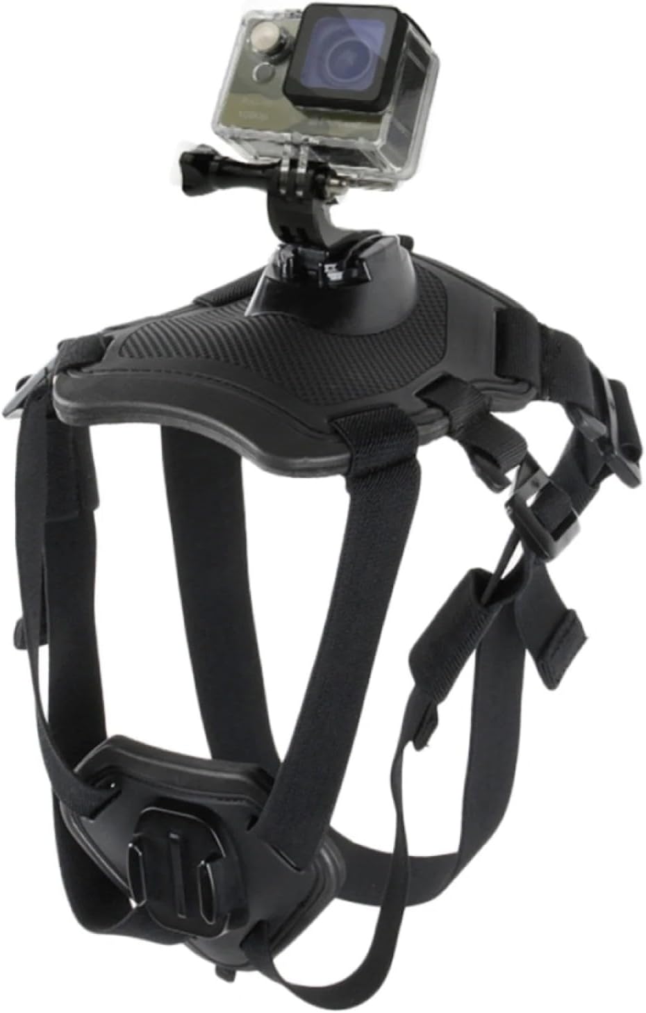 Harness - Premium Secure Camera Mount For Adventurous Pets Pet Gear