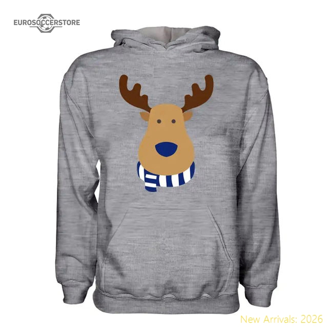 Premium Birmingham City Rudolph Supporters Hoody (grey) - Kids