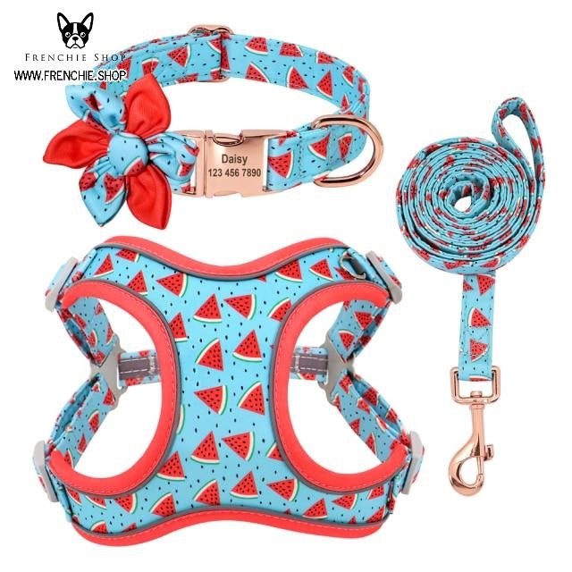 Fruit Harness for French Bulldog (W321)