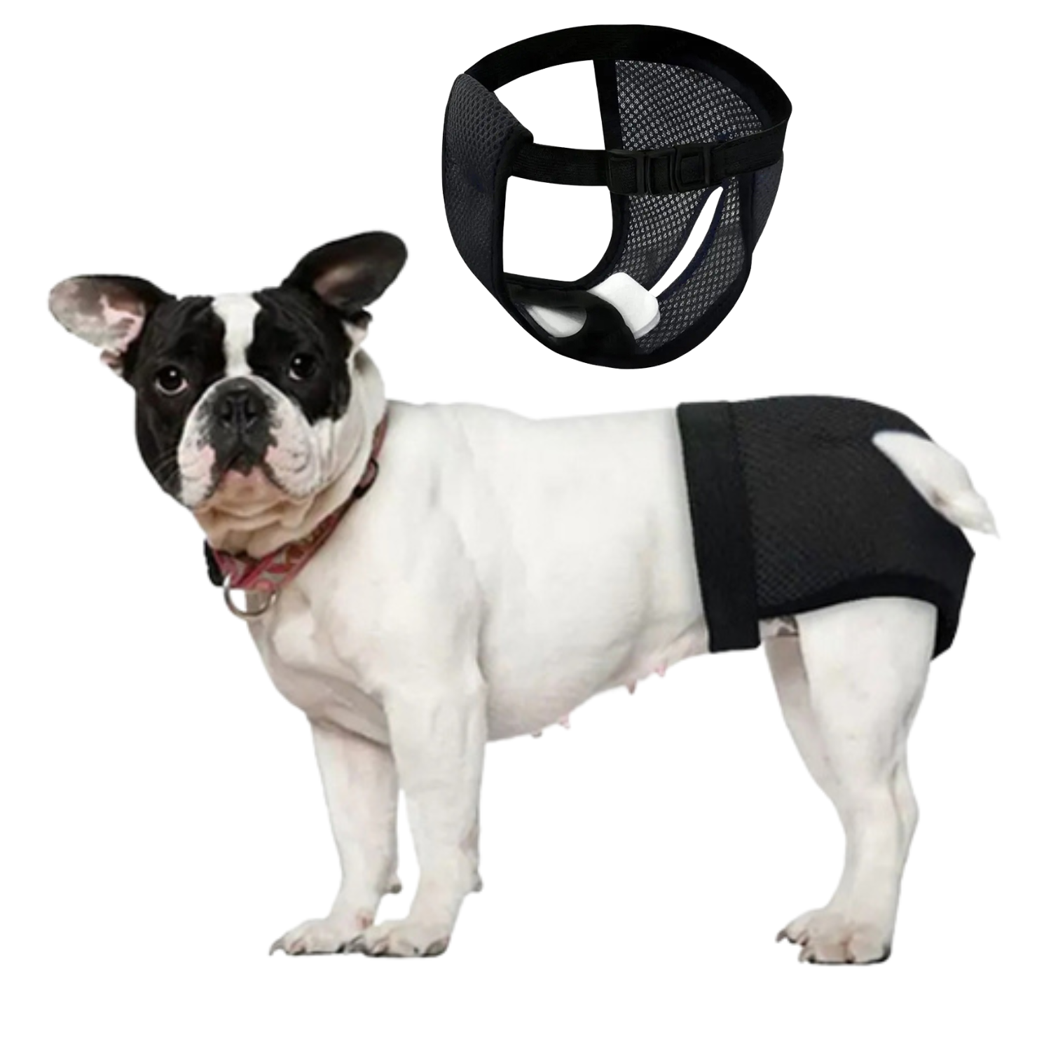 Safe Frenchie Diaper Hygienic Panties For Ultimate Comfort Dog Supplies