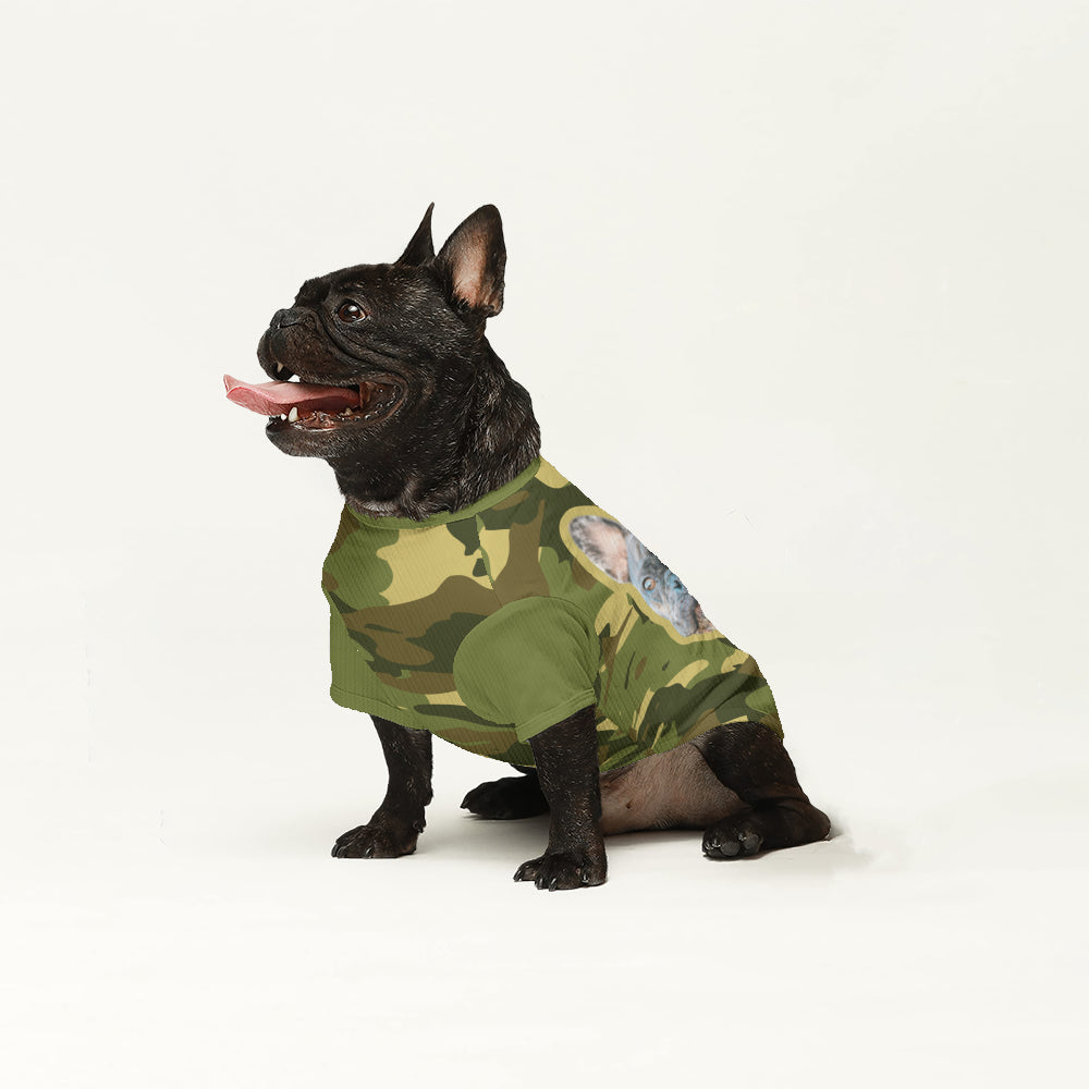 Wool Sweater For Frenchies For Frenchie Fans | Premium Quality