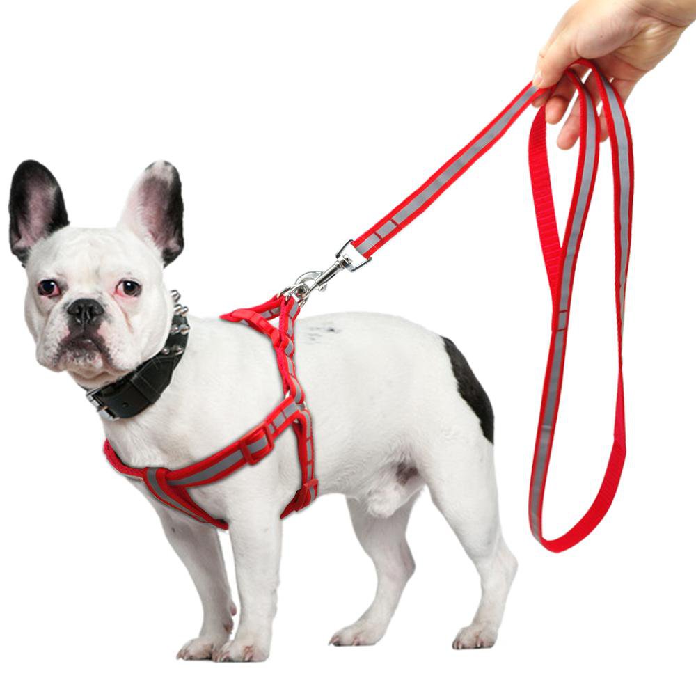 French Bulldog Reflective Frenchie Harness And Leash Set (ws58) Practical Dog Gear