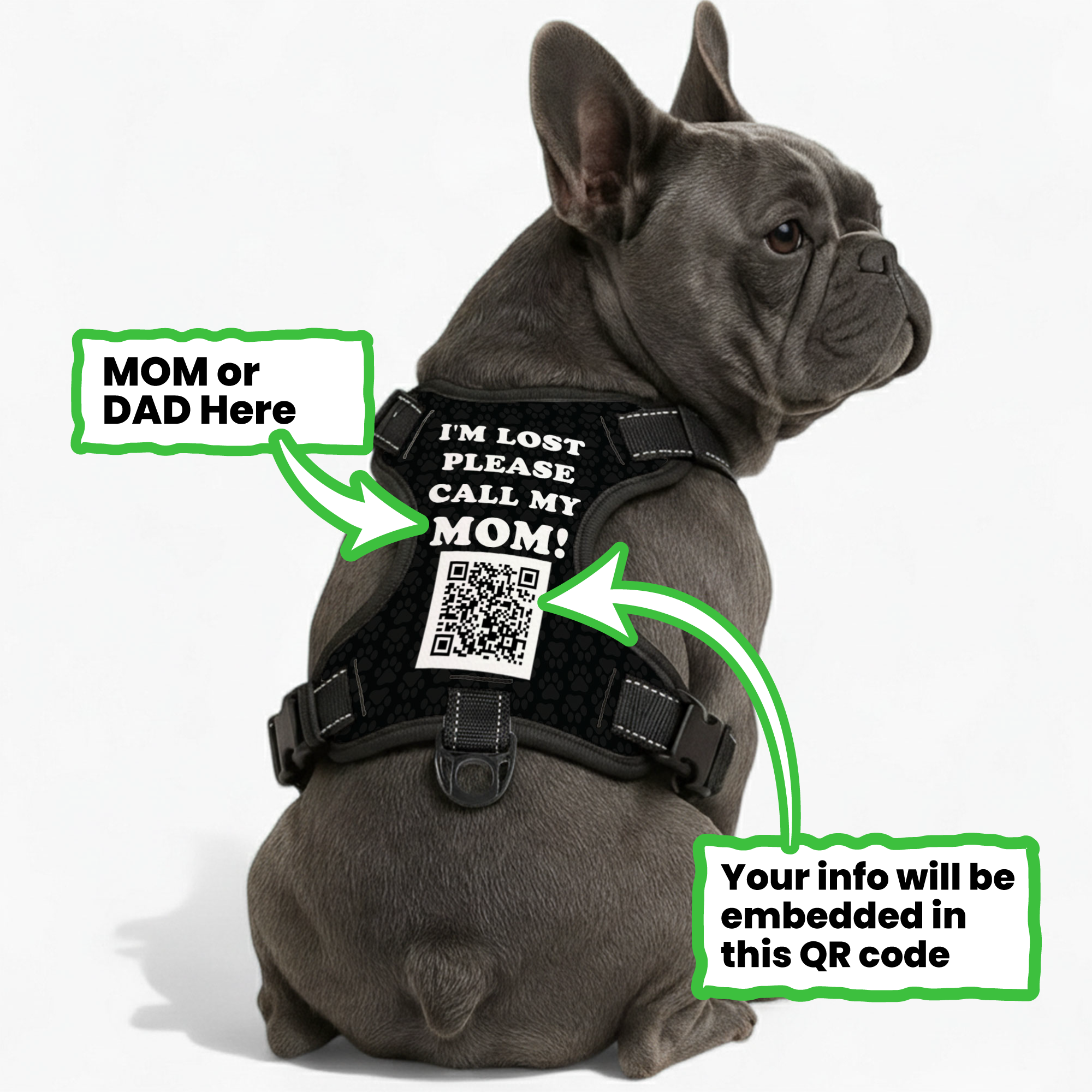 No-pull French Bulldog Dog Harness Outdoor Use | Safe For Paws