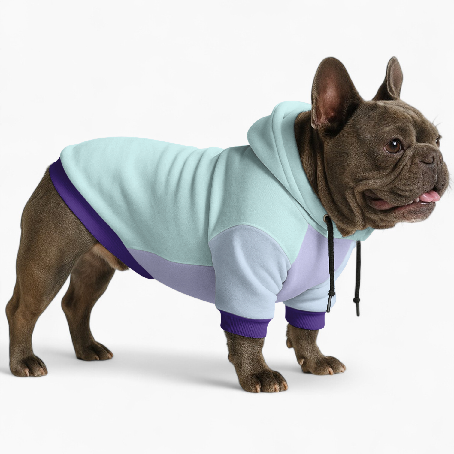 Everyday Durable Trendy Bella - Frenchie Hoodie for Home Use Stylish