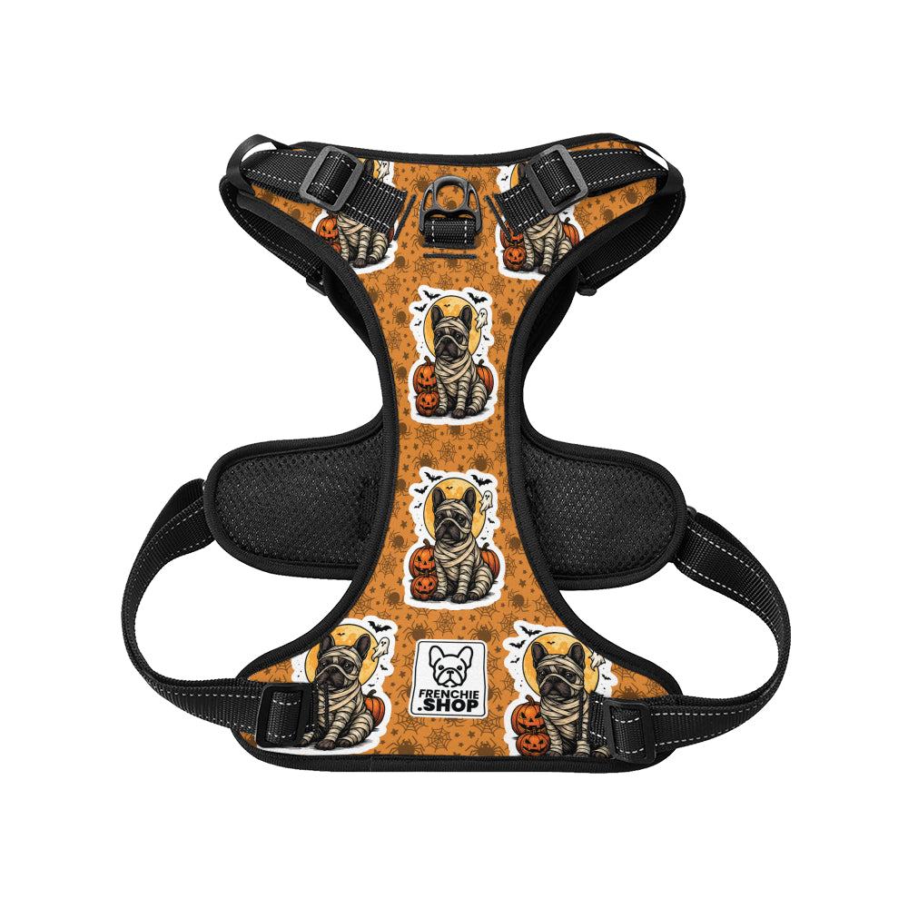 Breed-Specific Zeus - No-pull French Bulldog Dog Harness for Indoor Use