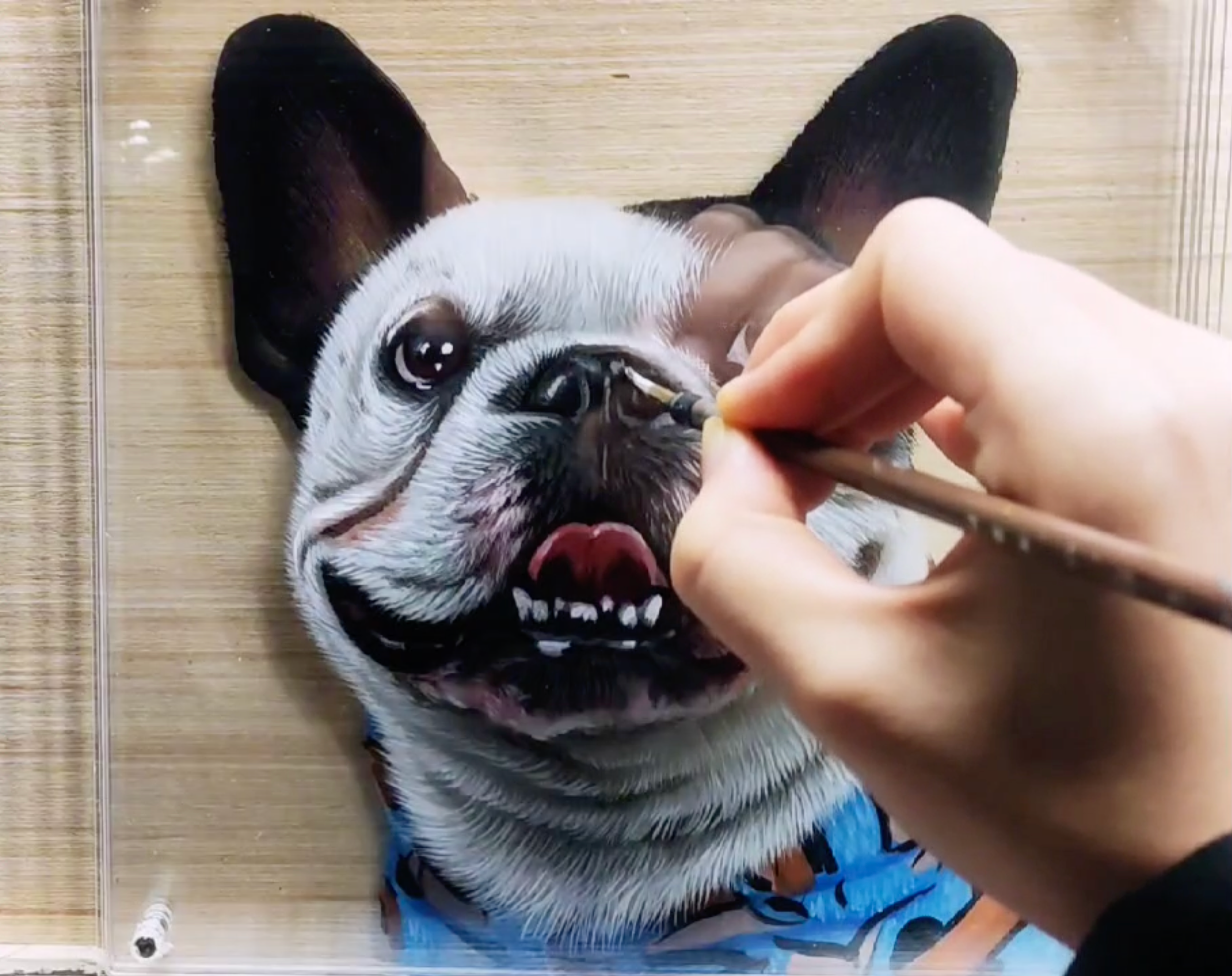 3d Acrylic Glass Art – French Bulldog Lovers Edition Pet Gear