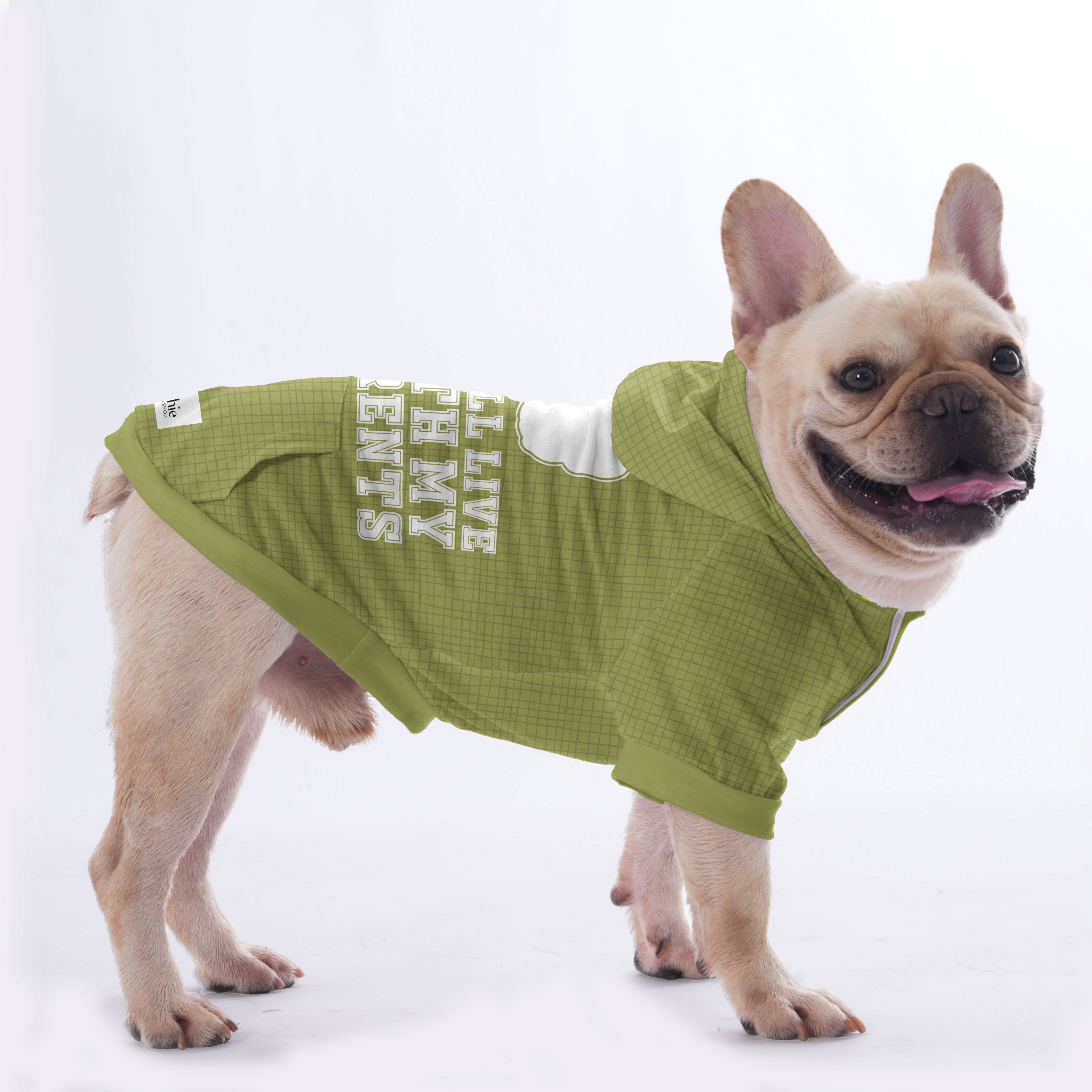 French Bulldog | Frenchie Shop Original Indoor Comfort | Stylish Look