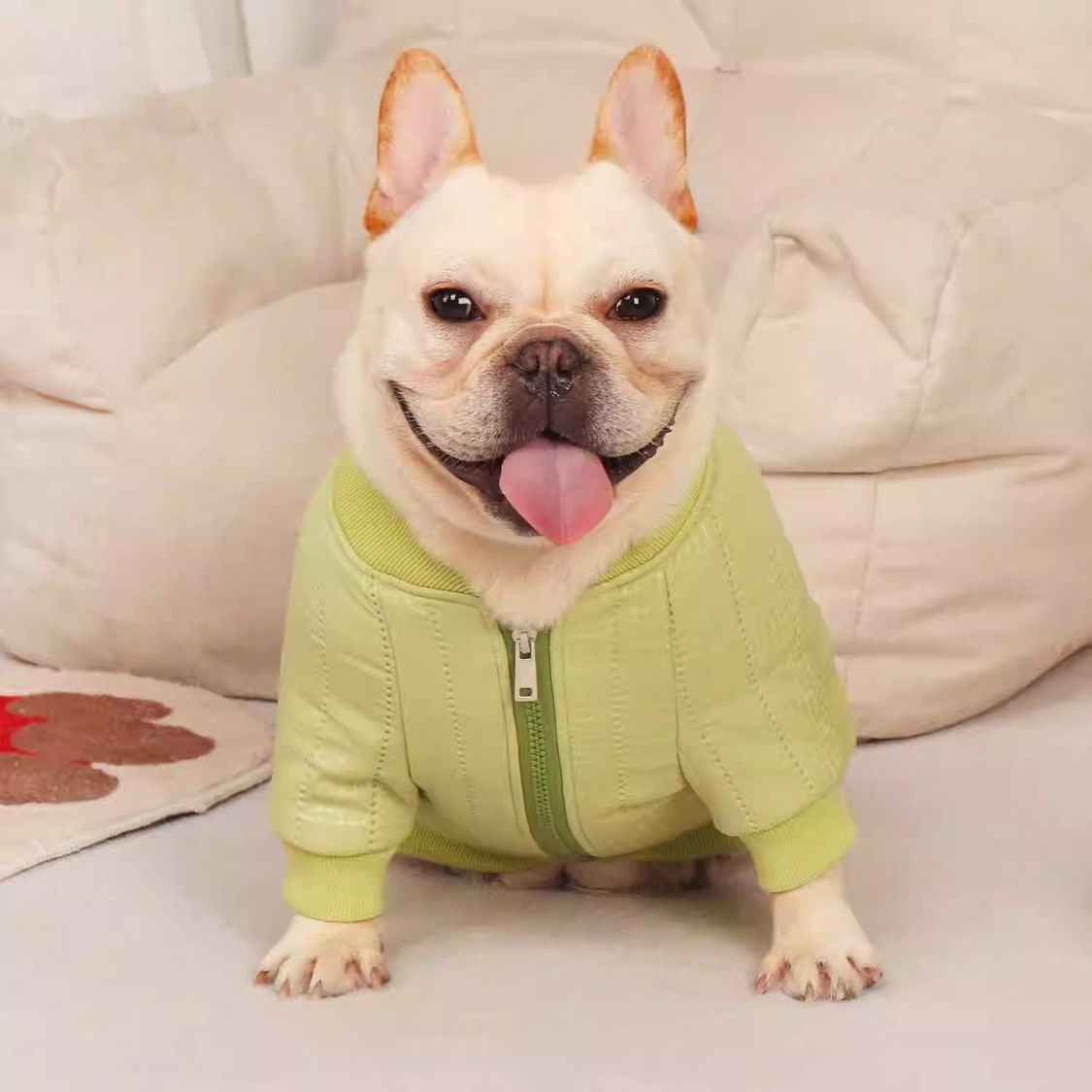 Minimal-Aesthetic Quilted Cotton Frenchie Jacket - Warm And Stylish W...
