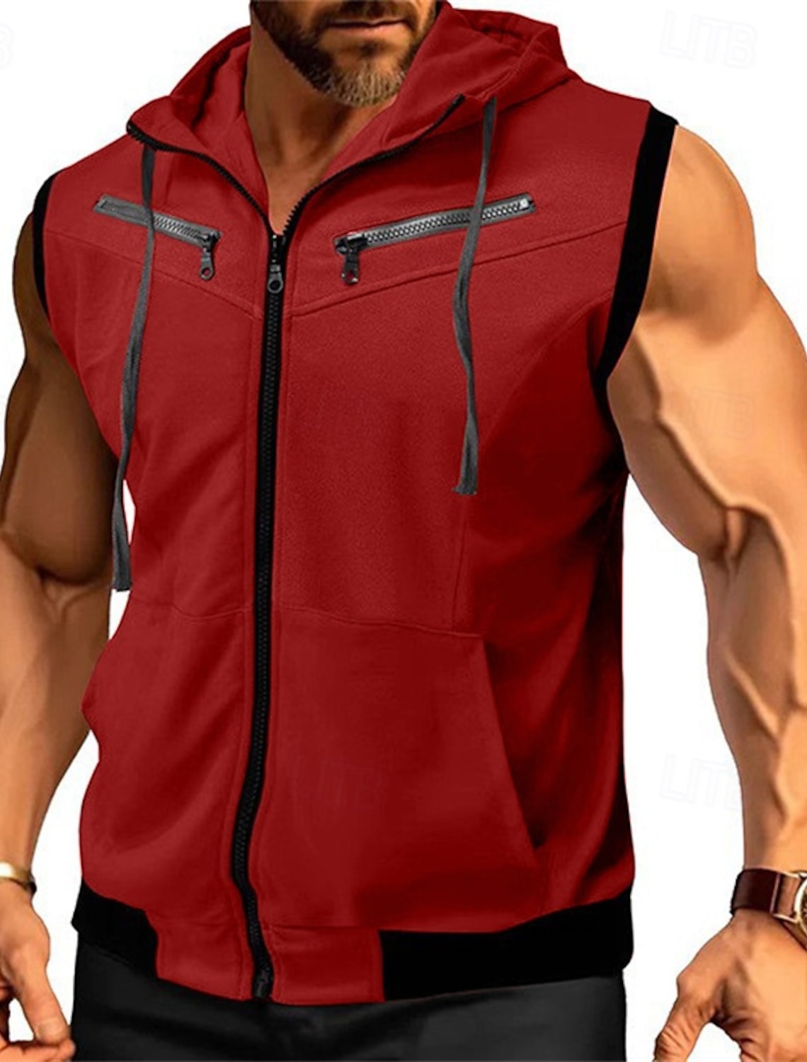 Men's Hoodie Full Zip Black Wine Red Navy Blue Purple Hooded Color