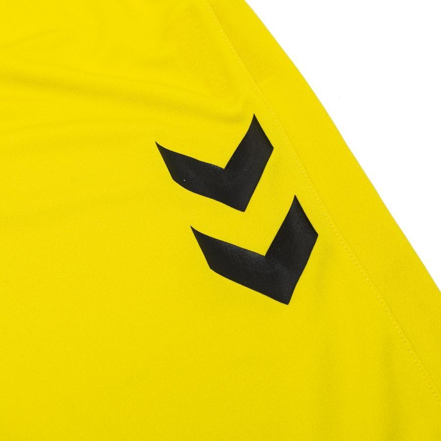 Denmark Goalkeeper Shorts 2024/25 Kids Adidas National Team Wear