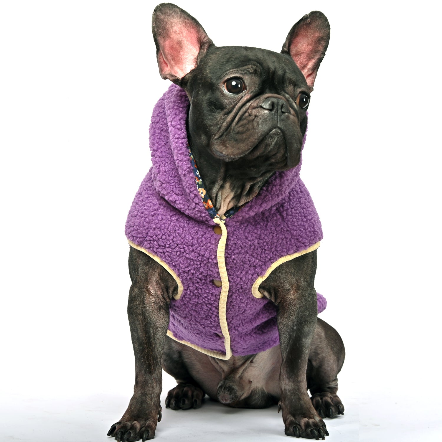 French Bulldog Bulldog Blizzard Warm Fleece Hooded Frenchie Winter