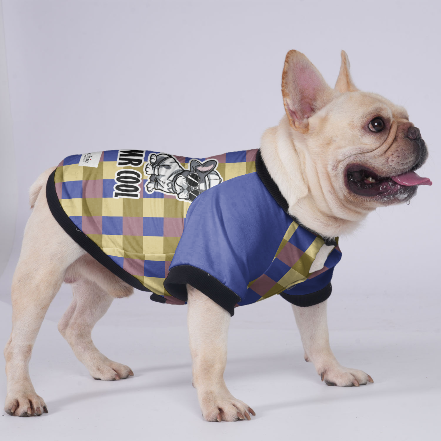 Mr Cool - Safe Jacket For French Bulldog Paw Protection
