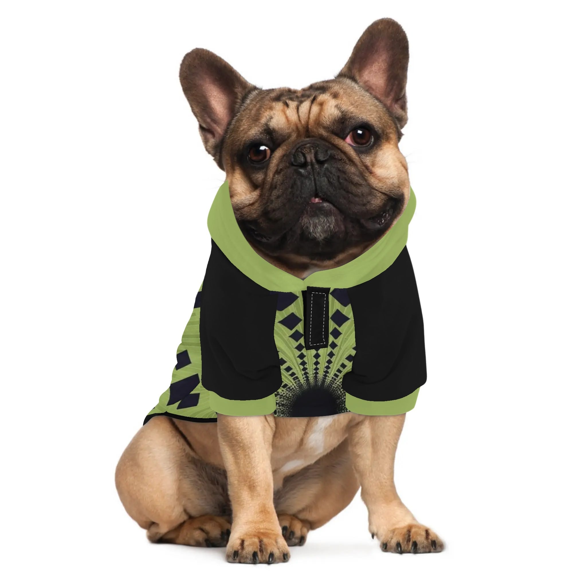 Hank - Hoodies for French Bulldog | Frenchie Shop Original