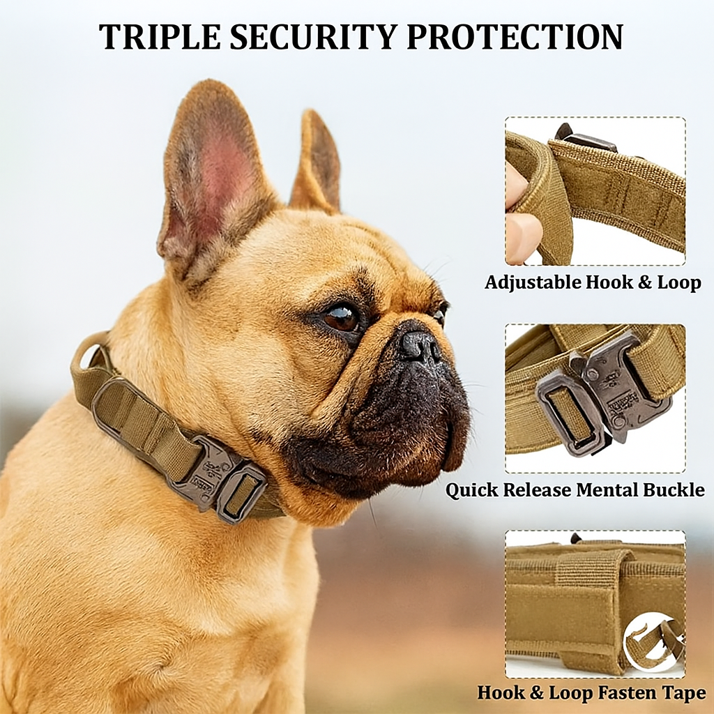 BarkOps Tactical French Bulldog Collar – Adjustable Outdoor Military-Style for Training and Walking