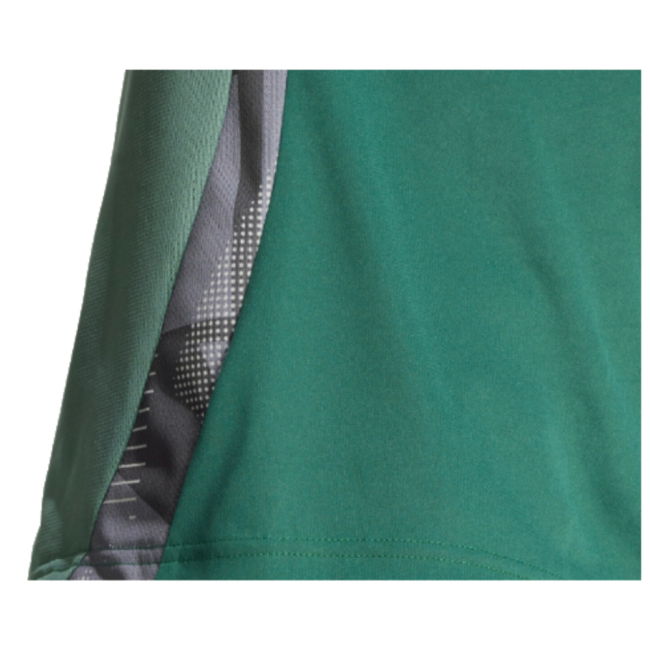 Algeria Stylish Jersey 2024-2025