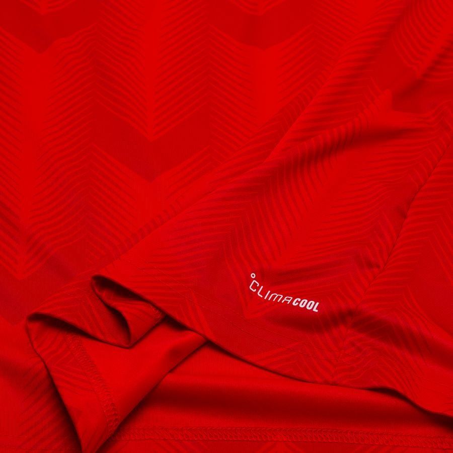 Chile Home Shirt 2025/26 For Algeria Football Fans