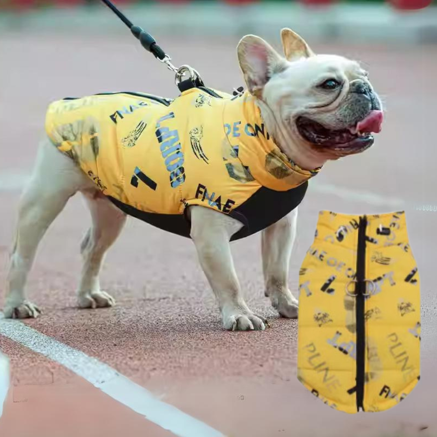 French Bulldog Puptrend Premium Frenchie Jacket Durable Dog Clothes