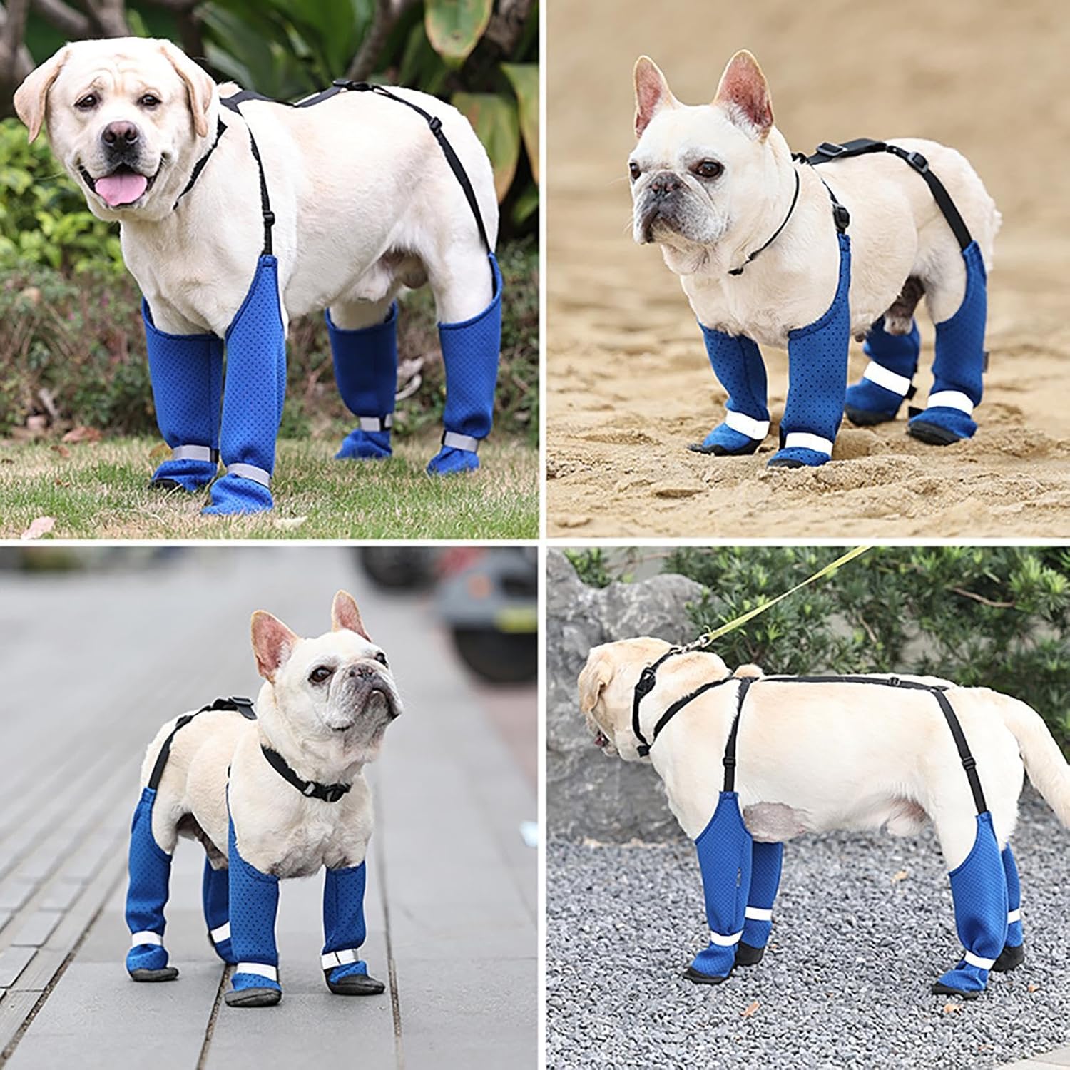 French Bulldog Pawtrek Frenchie Paw Protectors Stain Proof Outdoor