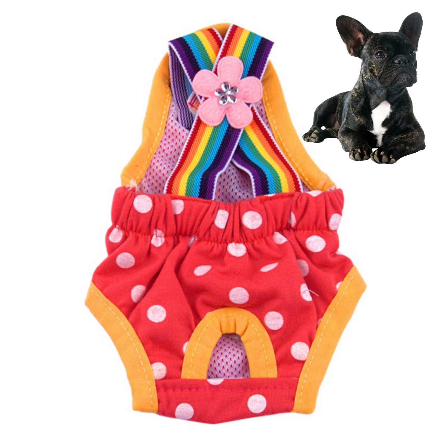 Eco-Friendly Washable Frenchie Diapers for Heat Cycles