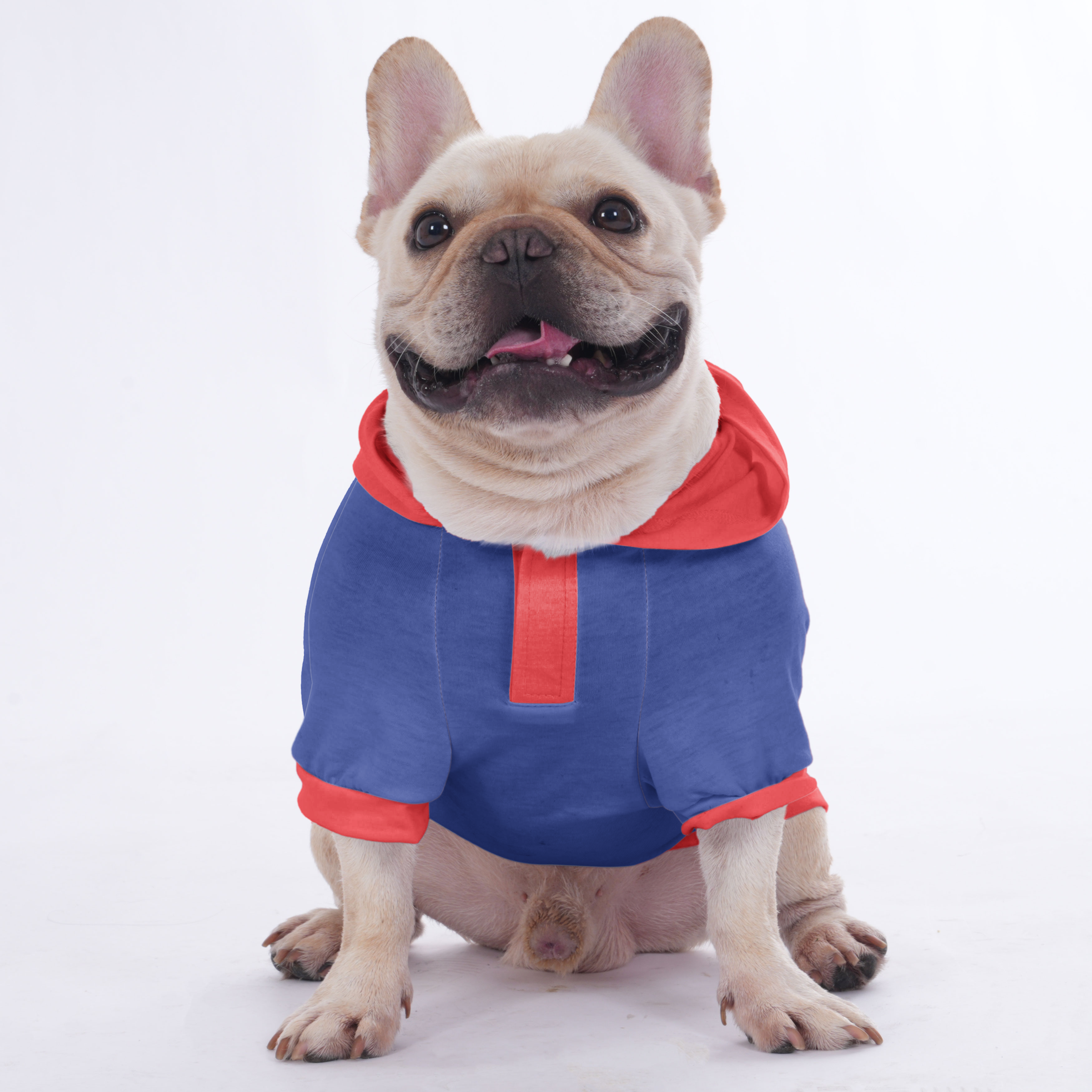 Lifestyle-Driven Custom French Bulldog Hoodies Showcasing Your Dog’s ...