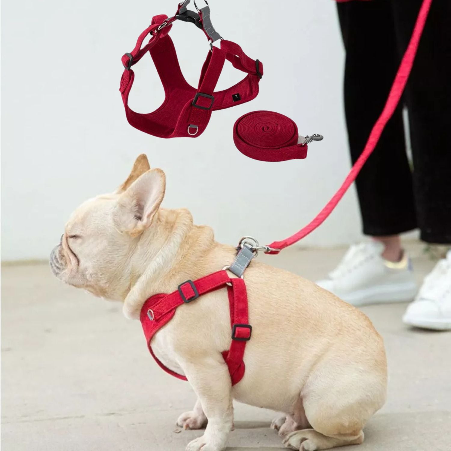 BulldoFit Luxury Suede Frenchie Harness – Breathable Vest & Leash Set