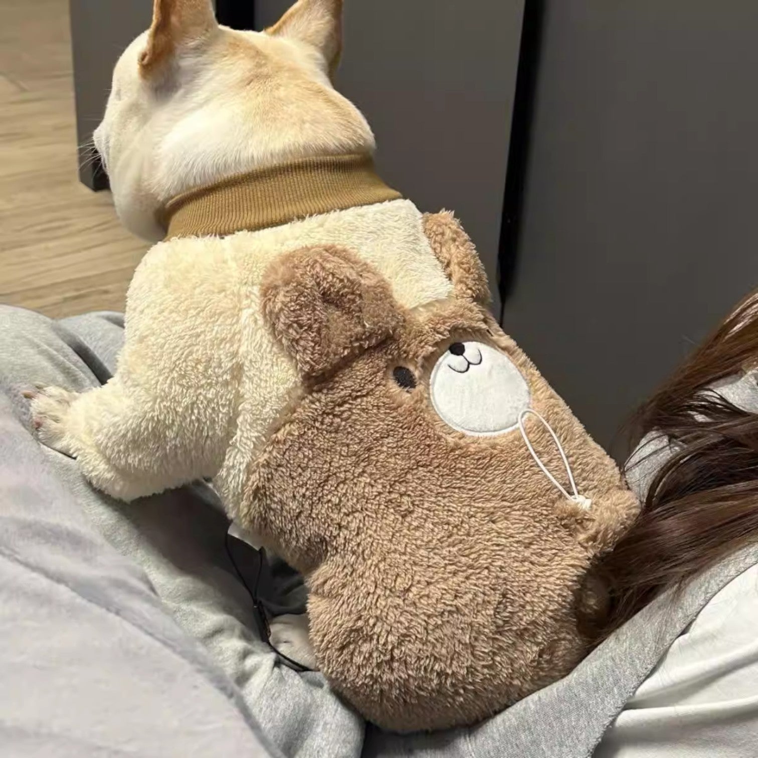 French Bulldog Bearly French Bulldog Coat – Plush Cotton Padded Coat