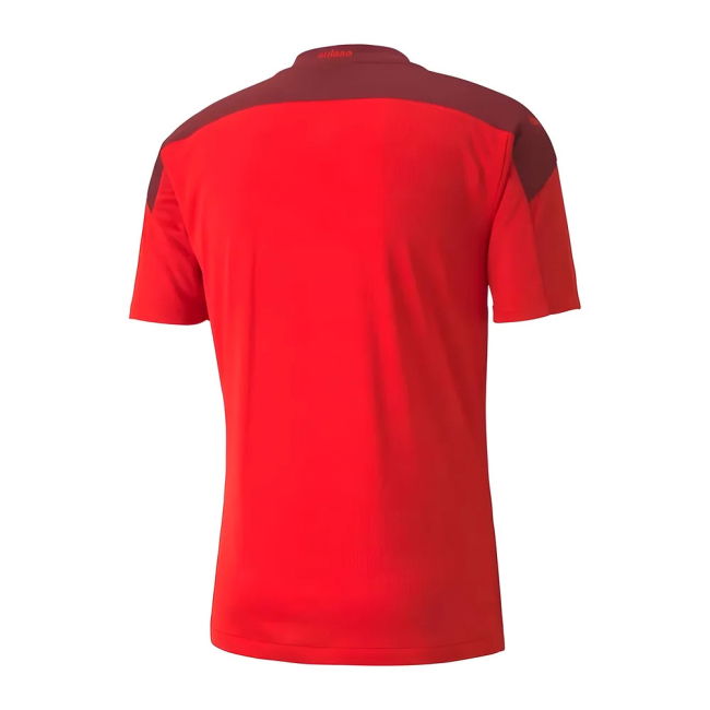Genuine Copy Switzerland Home Replica Jersey for Adults