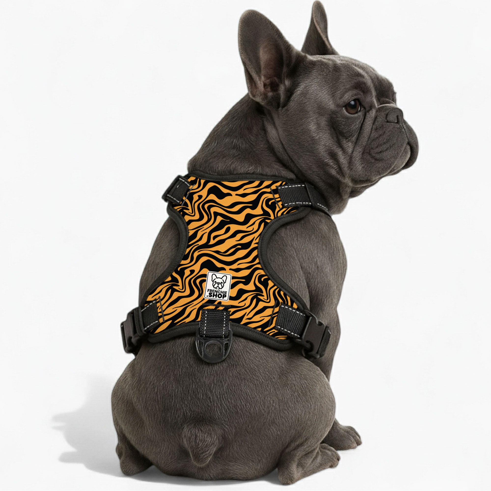 Dexter - Breed-specific No-pull French Bulldog Dog Harness Outdoor Use