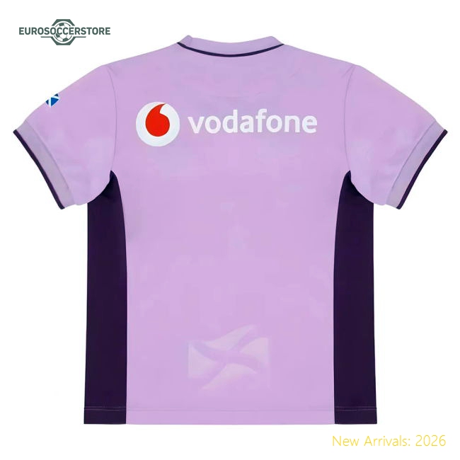 Comfortable Mini Football Team Jersey 2025-2026 Stretchy