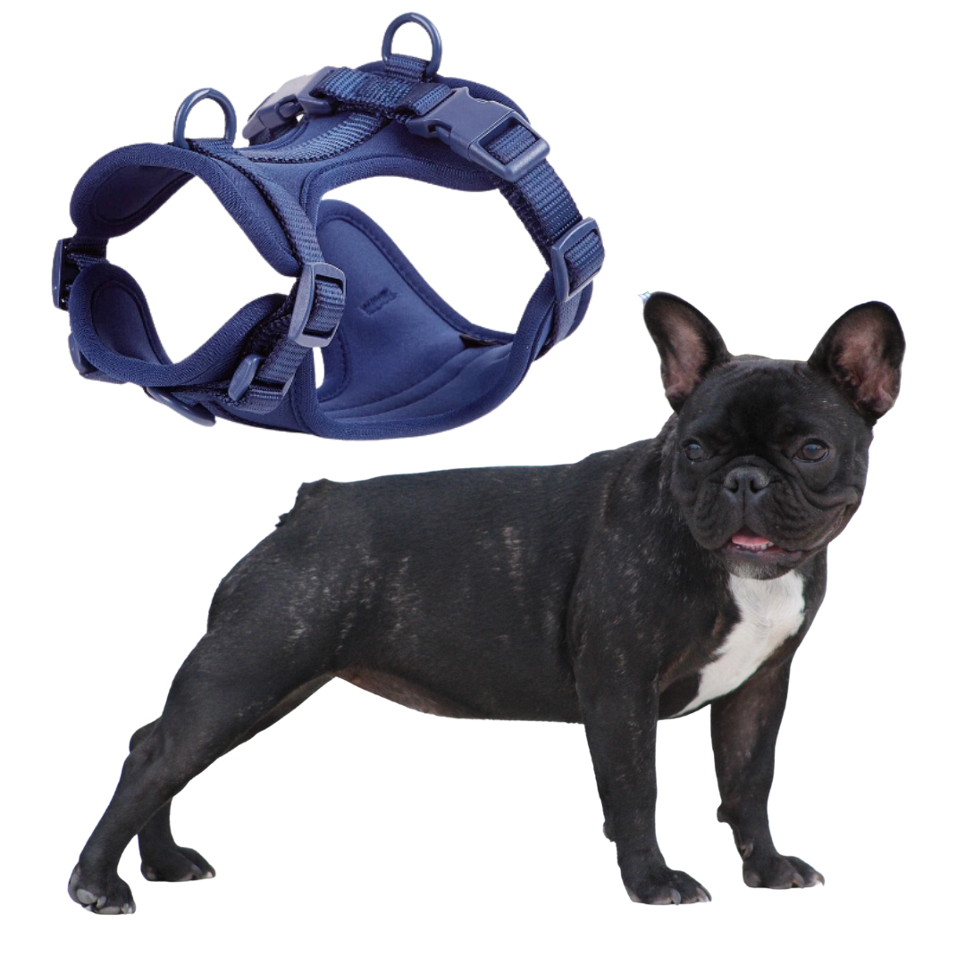 Puppy-Safe Durable Frenchie Quick Release Harness Leash Set for Playtime