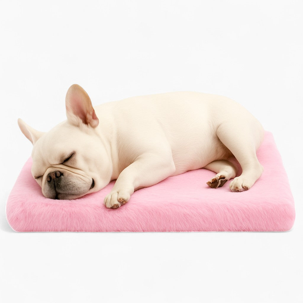 FrenchNap French Bulldog Bed Portable – Breathable Comfort for Daily Naps