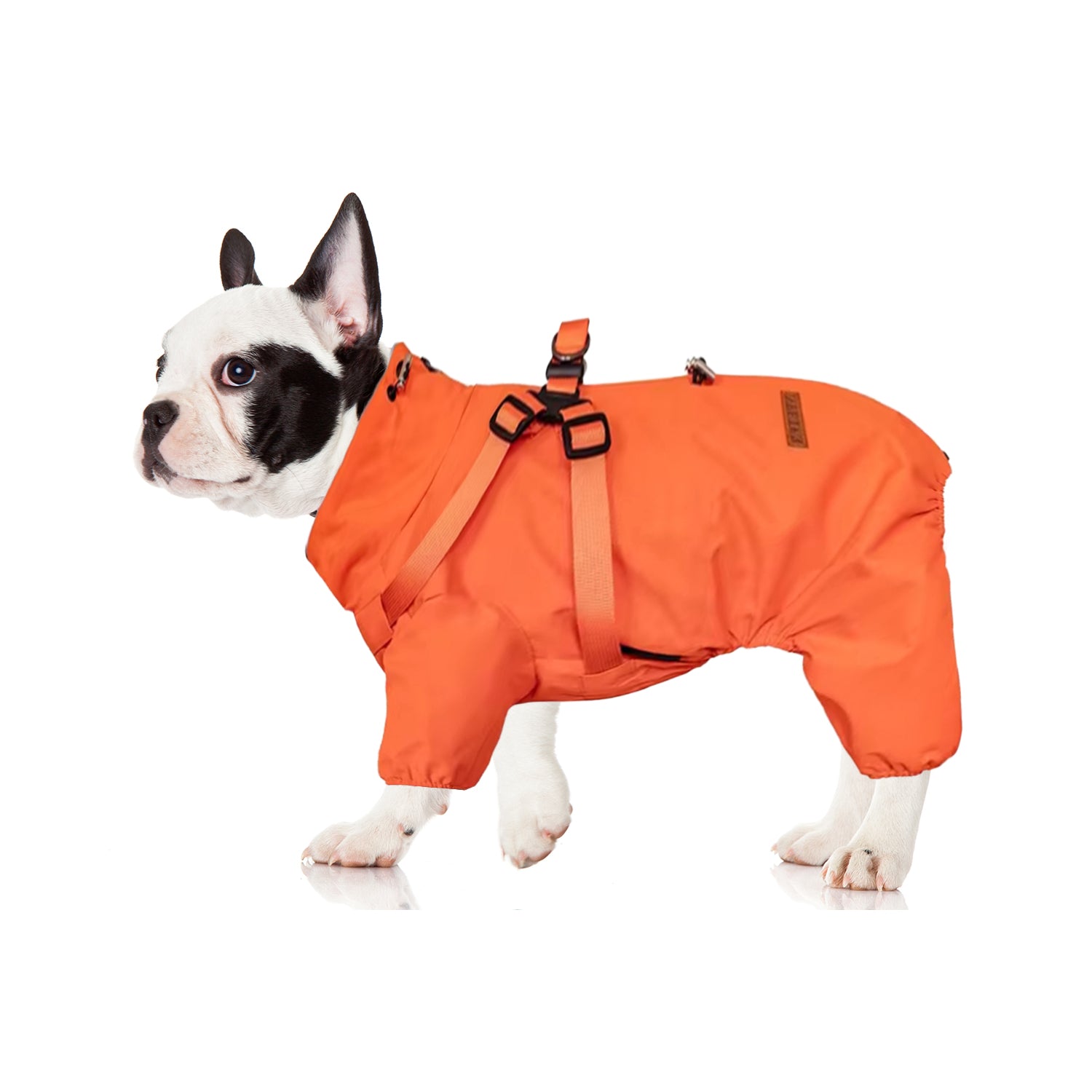 HydroHug Frenchie Raincoat with Built-in Harness Waterproof Reflective All-in-One Dog Jacket