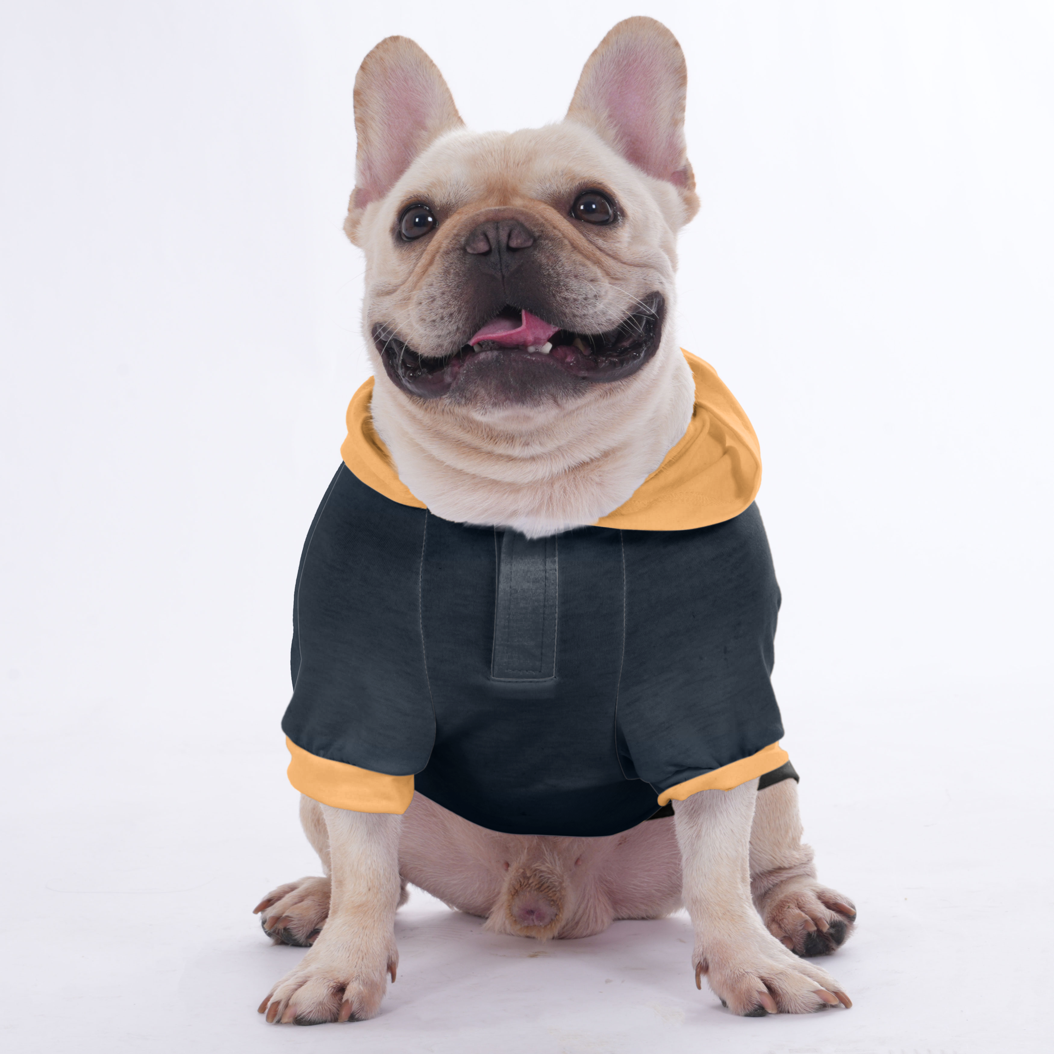 French Bulldog The Frenchie Town Hoodies For French Bulldog | Frenchie