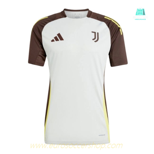2024-2025 Juventus EU Training Jersey (Silver)