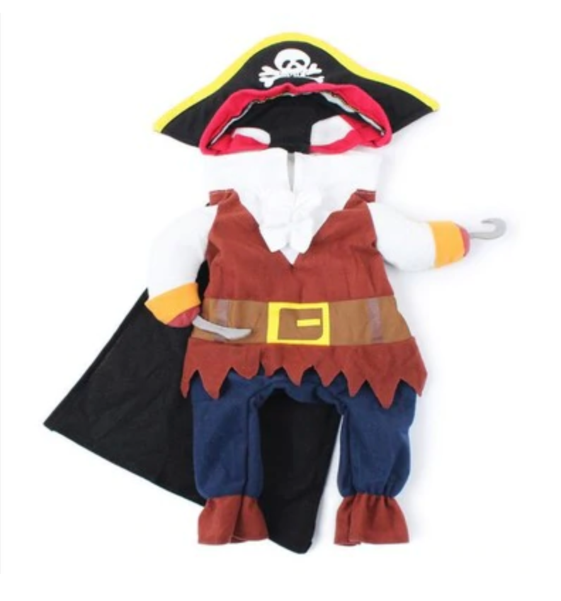 Caribbean Pirate French Bulldog Halloween Costume