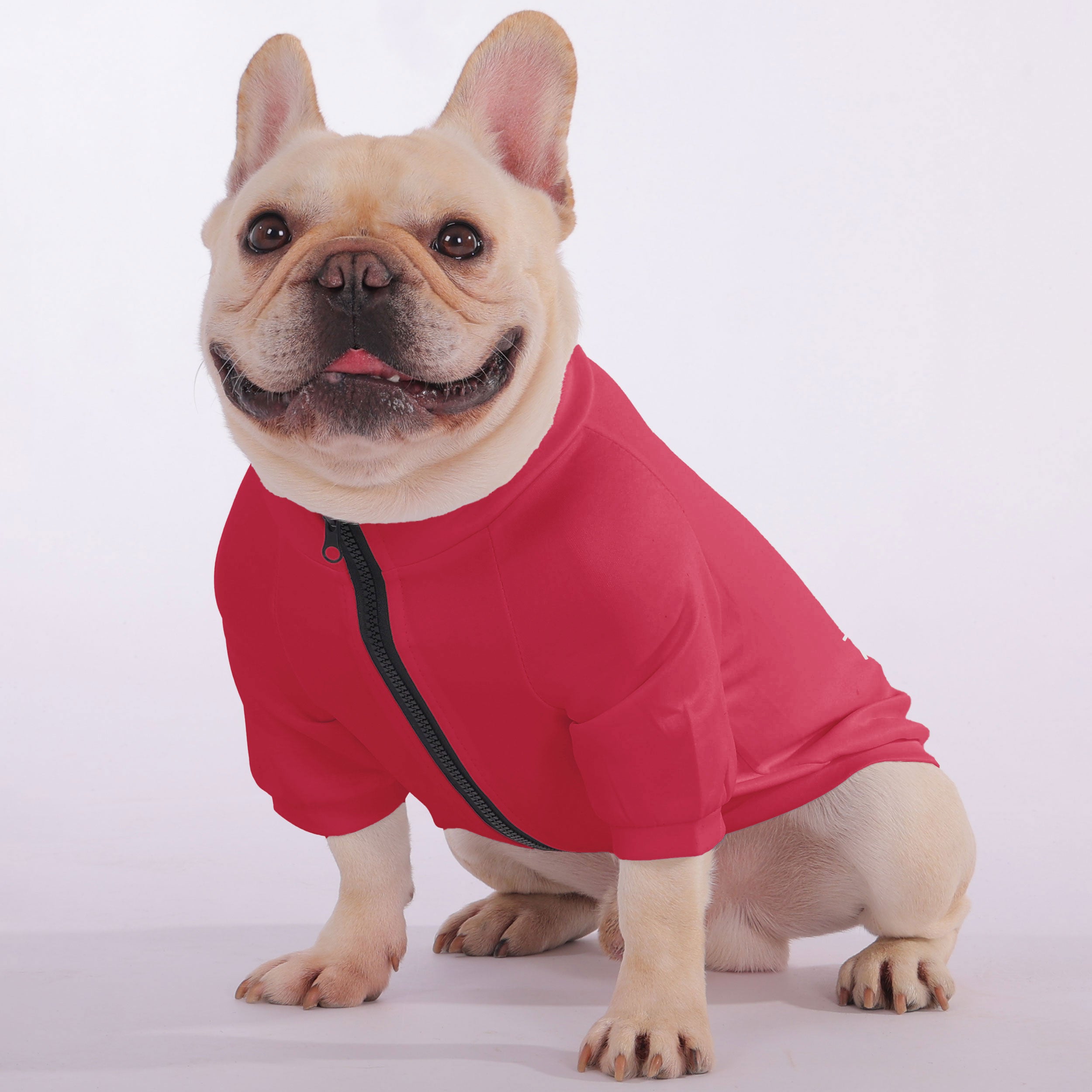 French Bulldog I’m Not A Morning Dog, Try Again Later Snuggly Zip Up