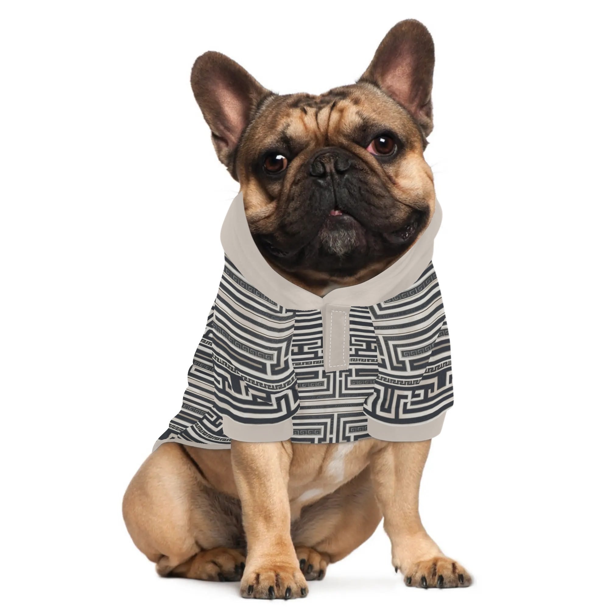Buddy - Hoodies for French Bulldog | Frenchie Shop Original