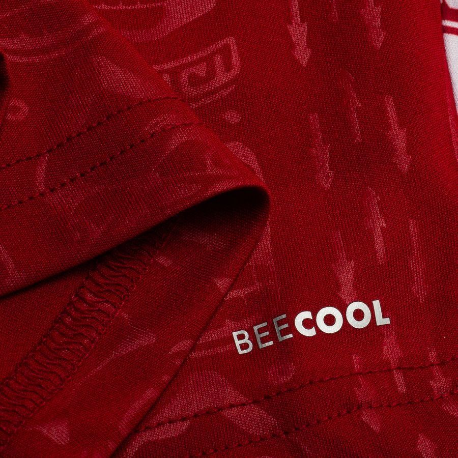 Greenland Home Shirt 2025 In Multiple Adult Sizes