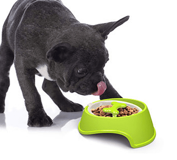 Slow - Bulldog Feeder Bowl (ws73) Outdoor Use | Durable Build
