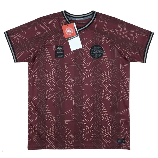 Genuine Copy Denmark Home Supporter Shirt for Kids