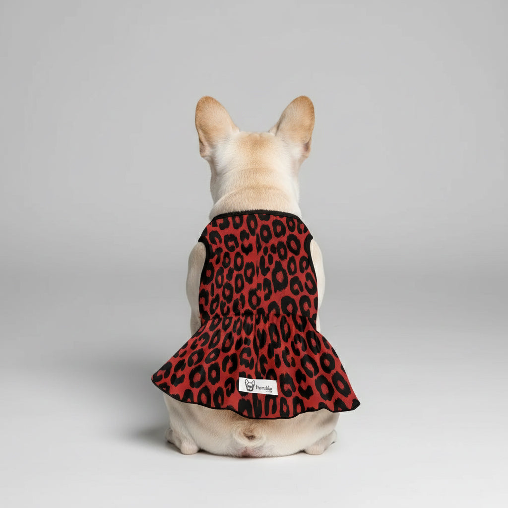 French Bulldog Layla French Bulldog Dresses For Females Durable Dog Item