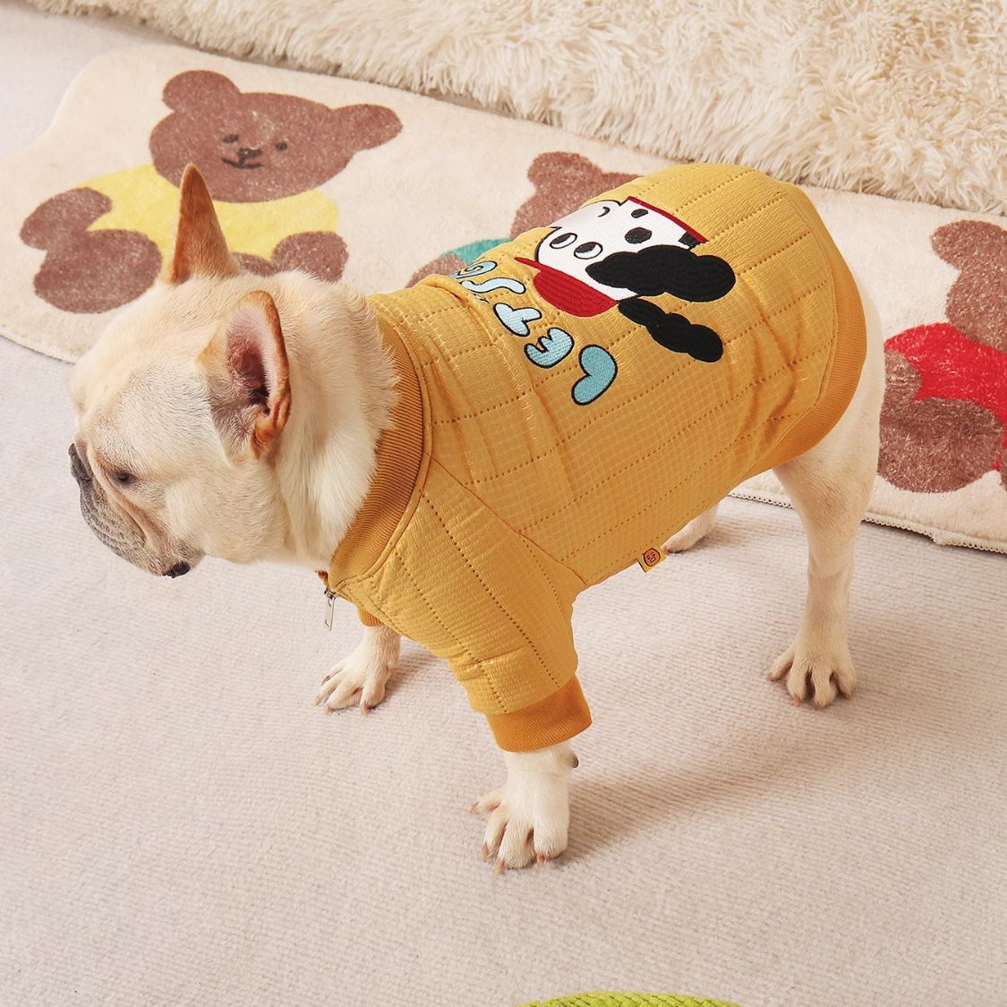 Stylish Winter Coat For French Bulldogs Summer Wear | Breed-optimized