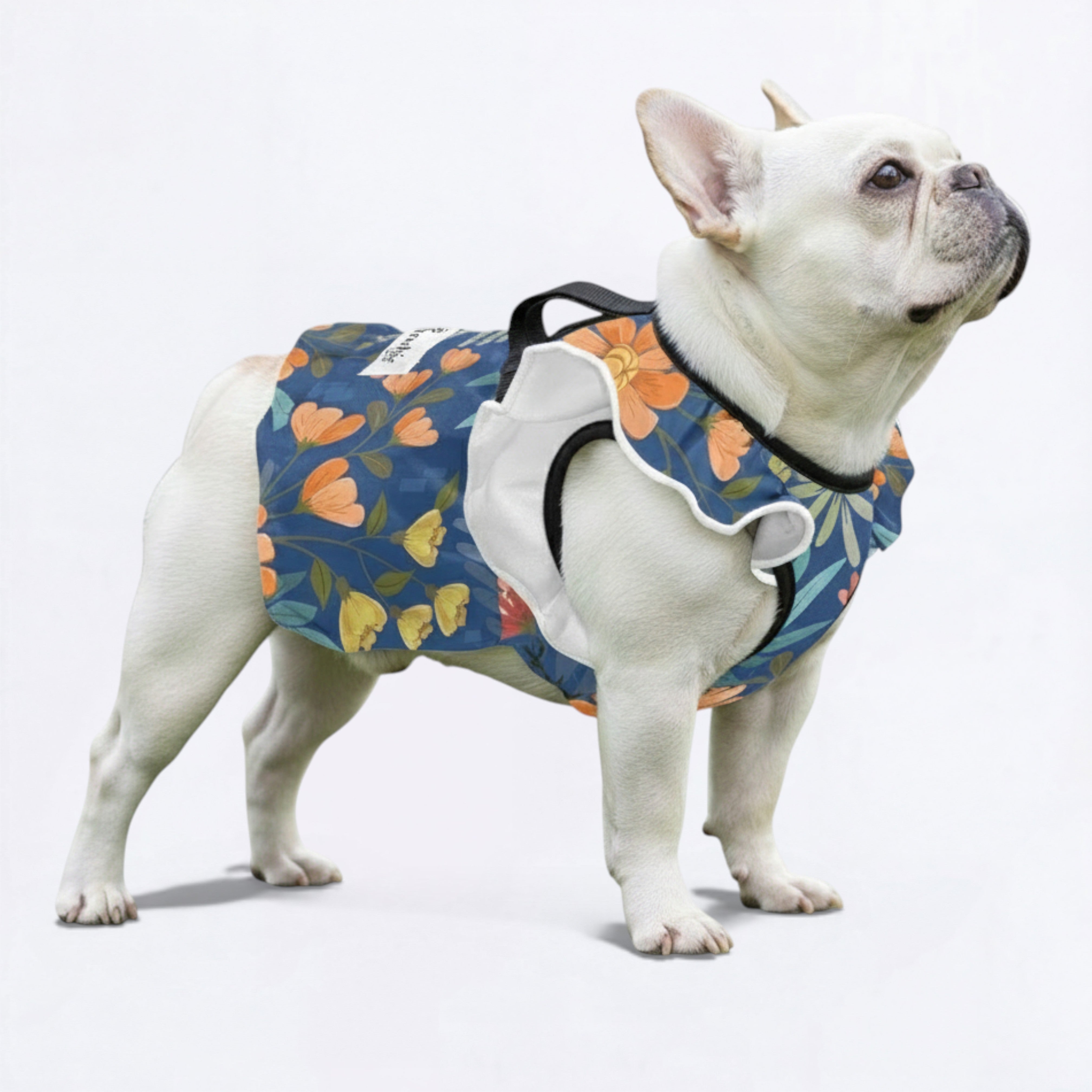 Everyday Bailey - French Bulldog Dresses For Females for Pet Enthusiasts