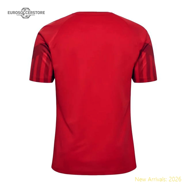 High-performance Denmark 2022-2023 Home Shirt (den Sleek