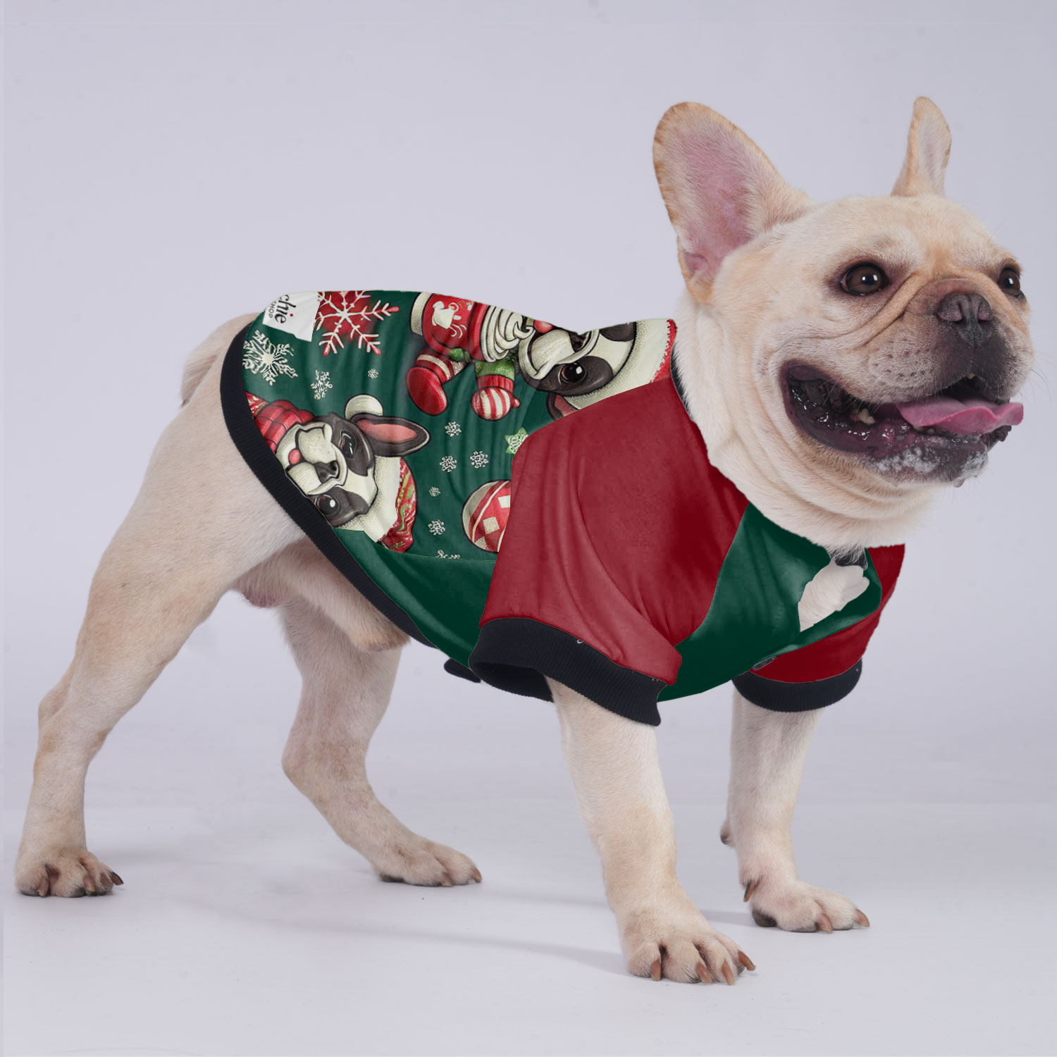 Trendy Cooper - Jacket For French Bulldog for Dog Owners
